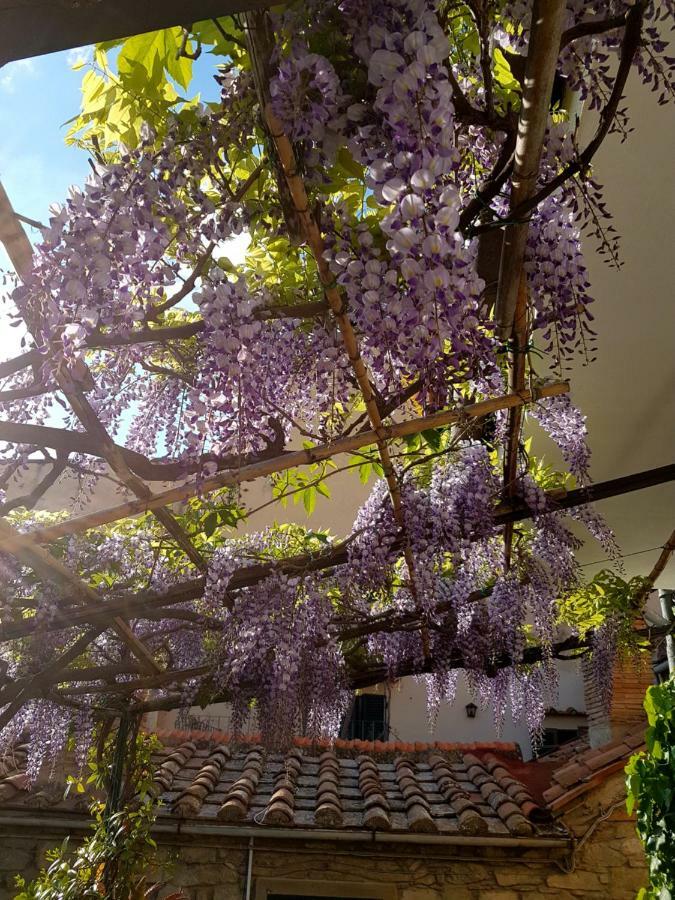 Casa Dell'Ermanna Apartman Cortona Kültér fotó